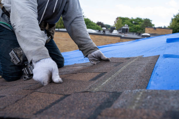 Best Roof Ventilation Installation  in Mayer, MN