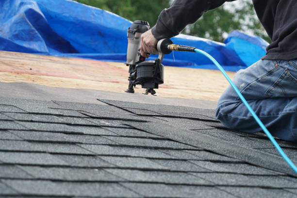 Steel Roofing in Mayer, MN